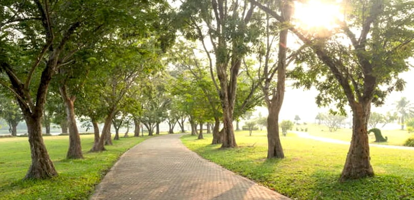 jogging trail of kalpataru elitus